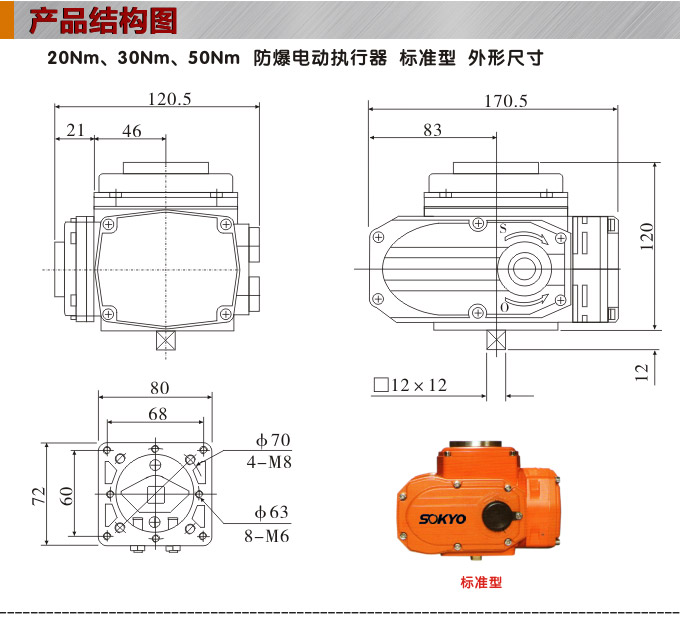 防爆電動頭,YTEx-RS50防爆電動執行器結構圖,標準式