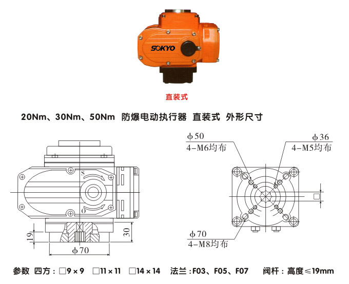 防爆電動頭,YTEx-RS50防爆電動執行器結構圖,直裝式